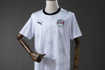 Egipto 2026 visitante